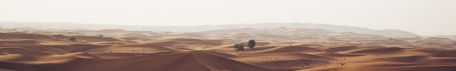 ɽаƼ޹˾